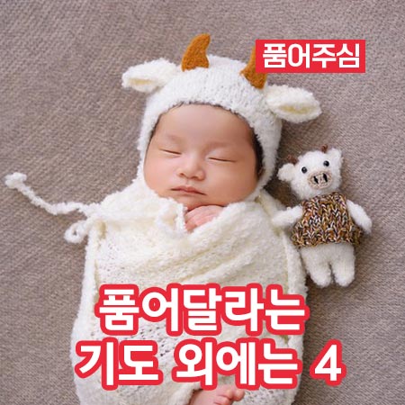 품어달라는 기도 외에는 4