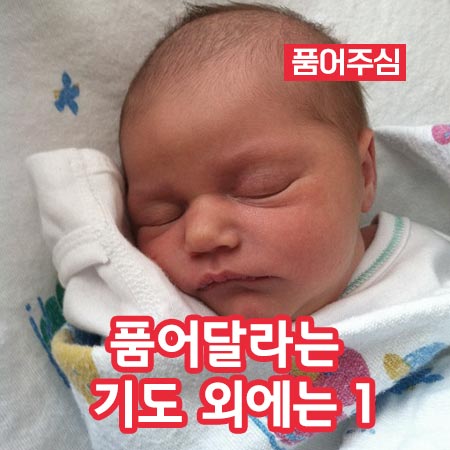 품어달라는 기도 외에는 1