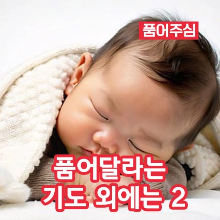 품어달라는 기도 외에는 2