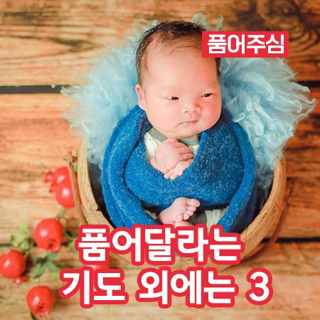 품어달라는 기도 외에는 3