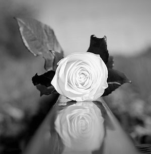 자살생각 유경험률 14.7%…5년 새 3.8%p 감소