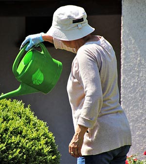 경로당 식사제공 주5일로 확대…7~8월 냉방비 별도 지원한다
