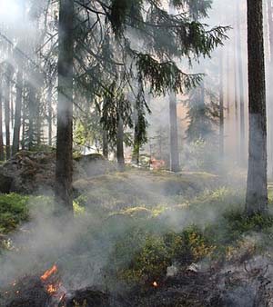 산림청 양산국유림관리소, ‘열린 적극행정, 사회약자 및 소외계층’과 함께하는 ‘행복나눔’