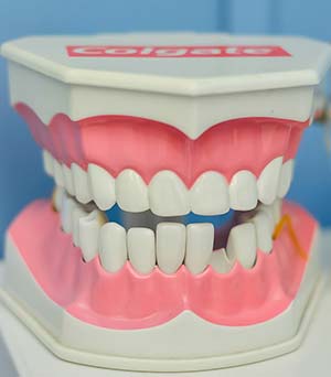 제2차 「아동치과주치의 건강보험 시범사업」 7개 지역 신규 선정