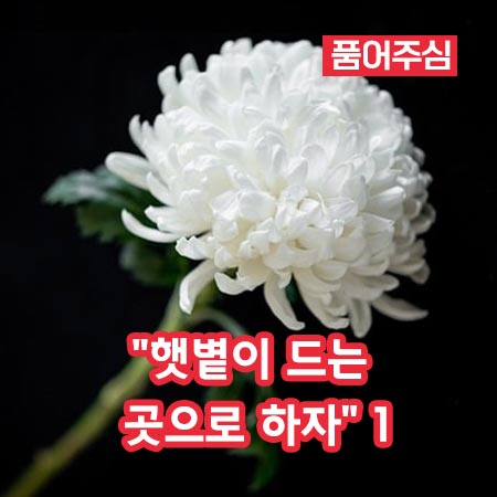 “햇볕이 드는 곳으로 하자” 1
