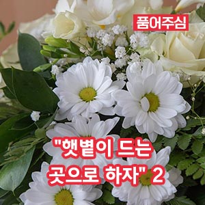 “햇볕이 드는 곳으로 하자” 2