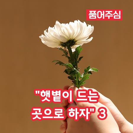 “햇볕이 드는 곳으로 하자” 3