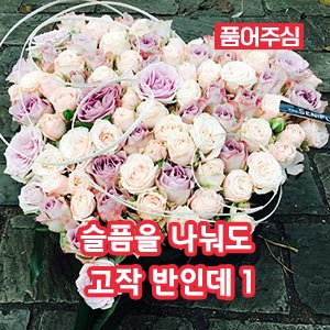 슬픔을나눠도고작반인데 1