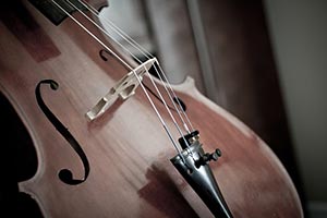 매월 마지막 주 수요일, 문화·스포츠 무료·할인서비스 놓치지 마세요!