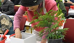 “식물과 정원 가꾸며 활력 충전!”서울시, 어르신 대상 가드닝 프로그램 운영