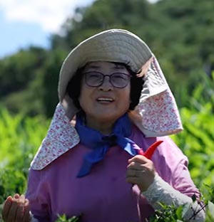 엄마~ 기상청에서 문자 왔어!ㅣ폭염으로부터 생명을 지키는 자녀의 안부전화📞 체험 정책의 현장