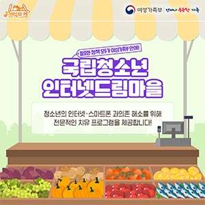 국립청소년인터넷드림마을