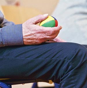 노인 일자리 및 사회활동 지원에 관한 법률 시행령 제정령안 국무회의 의결