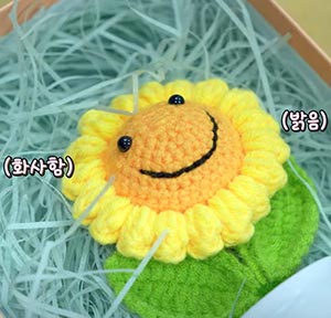 상담사·의사·경찰이 한 곳에? #성폭력 피해자 지원하는 #해바라기센터