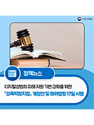 디지털성범죄 피해 지원 기반 강화를 위한 「성폭력방지법」 개정안 및 하위법령 17일 시행 ⌨️