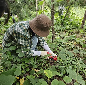 고립은둔 청년, 자원봉사로 세상과 연결된다. ‘고은 청년과 함께하는 자원봉사 여행’