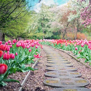 83세 어르신 웃음이 피어났다. 기후위기 취약계층을 위한 옥상정원