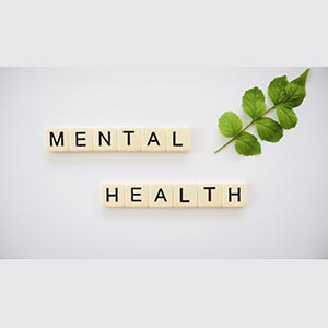 서울시립청소년센터, 심리회복‧AI‧피트니스 갖춘 복합 성장 거점으로… 올해 60억 집중 투자