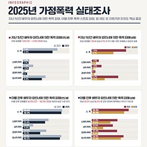 2025년 가정폭력 실태조사